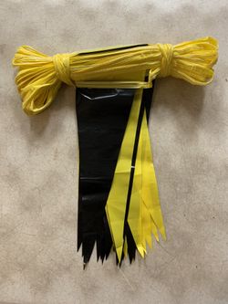100 foot yellow and black pendant