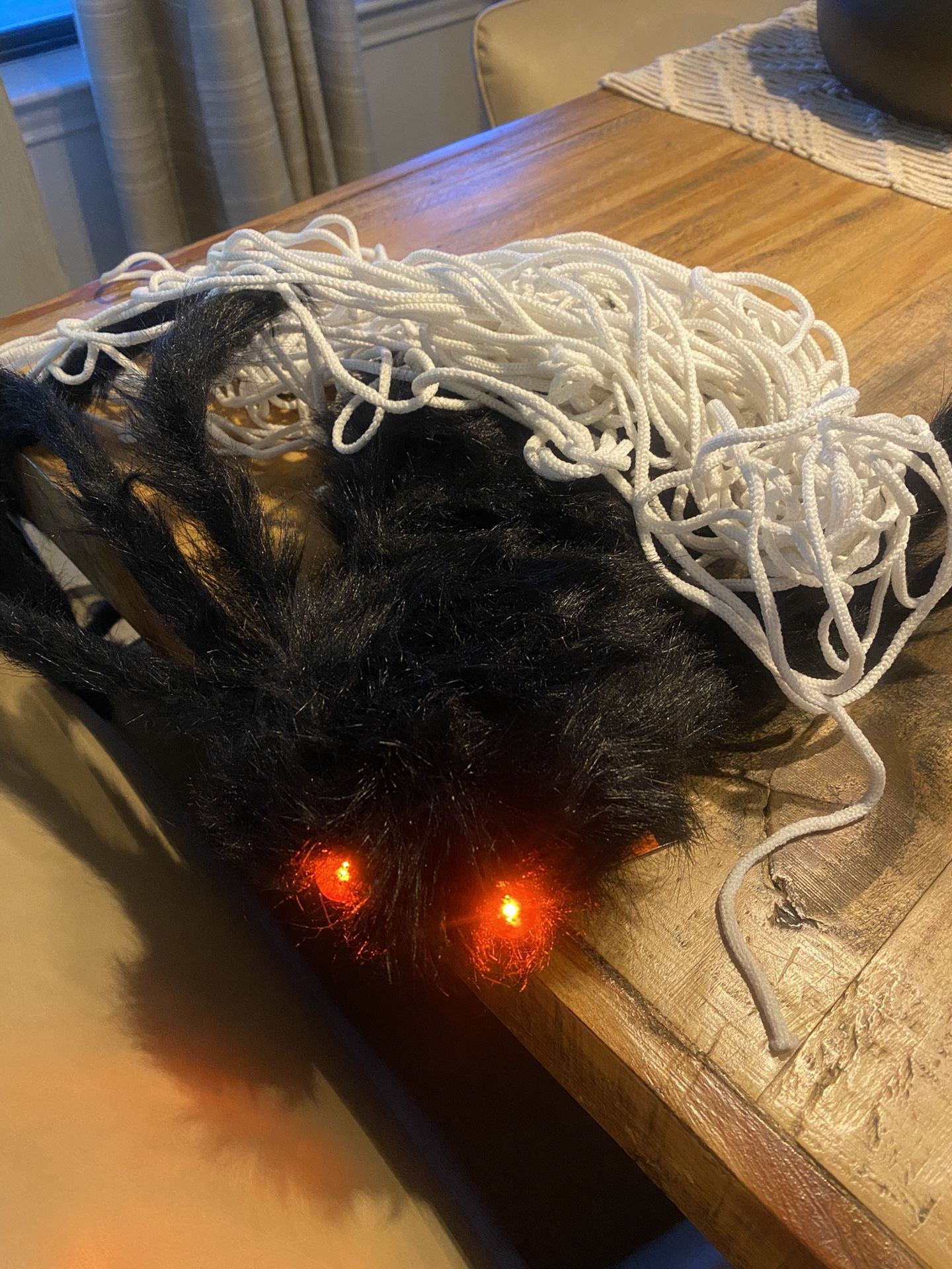 Giant Spider With Net