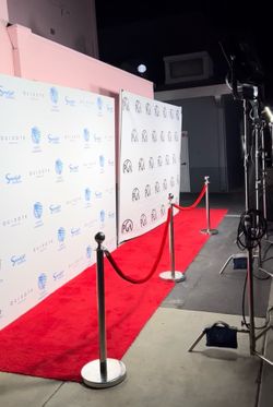Step and Repeats / Red Carpets