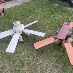 2 Fan 50 Dollars