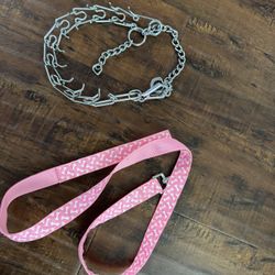 Large dog training collar 