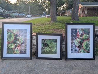 Set of XL Picture Frames