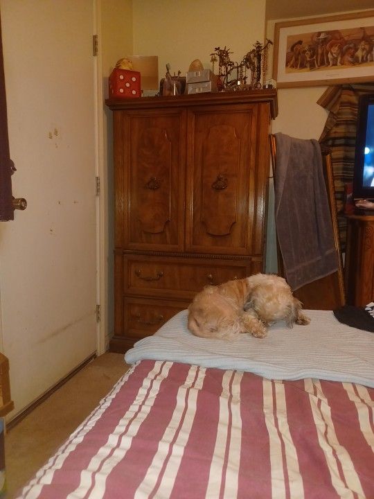 5 Drawer Cloth Cheat Vintage