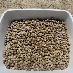Rabbit Fertilizer For Your Garden and House plants