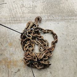 20 Foot 3/8 Logging Chain 