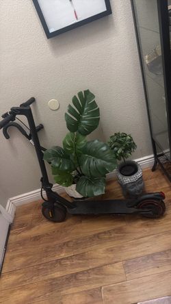 need gone