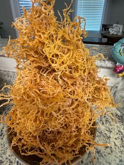 Moss sea (seamoss)
