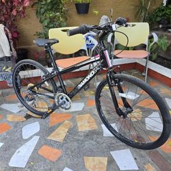24" Diamondback Mountain Bike 18-Speed 