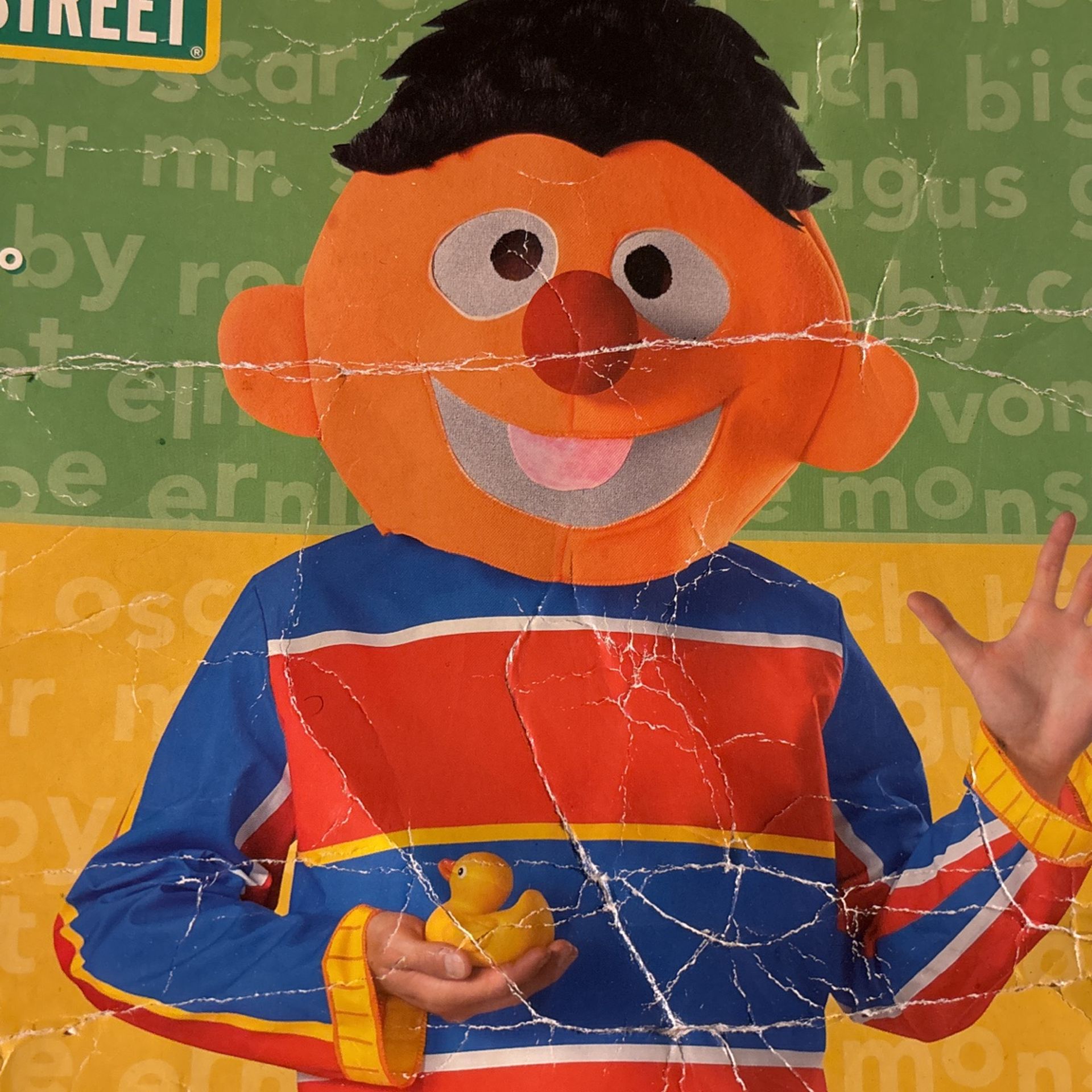 Erine From Sesame Street