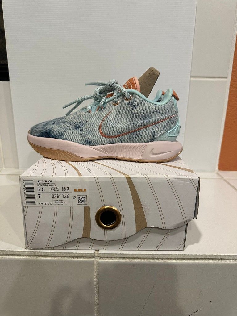 Nike LeBron Shoes