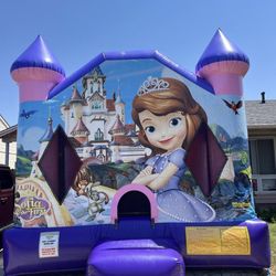 Brand New Bounce House 