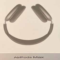 Apple Headphones 