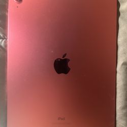 Apple Ipad