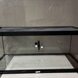 20 Gallon Terrarium Tank 