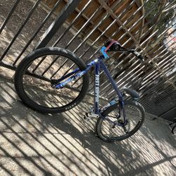 Fast Ripper 29in
