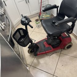 Adult Scooter 