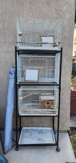 Bird Cages And Stand