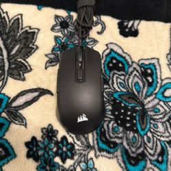 Corsair Ambidextrous Mouse (I Think)