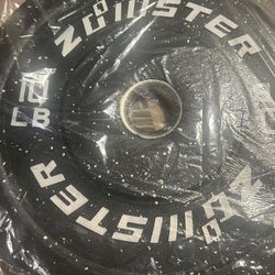 New Pair Of 10 Pounds Bumper Weight