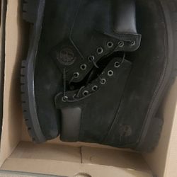 Timbs Size 11