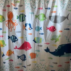 Shower 🚿 Curtain—Sea Creatures