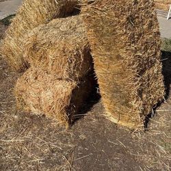 4 hay bales  For Free