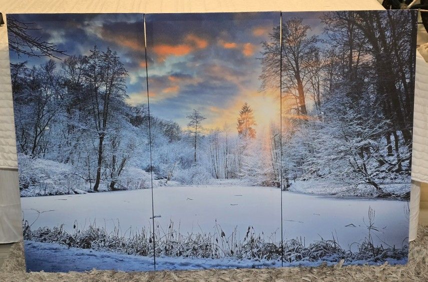 3 Piece "Frozen Lake" Wall Decor