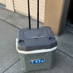Igloo Cooler 