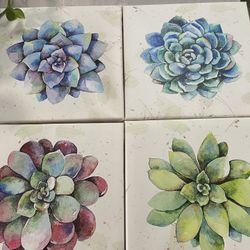 Group Of 4 Succulent Pictures 