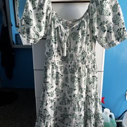 Women’s Dress 