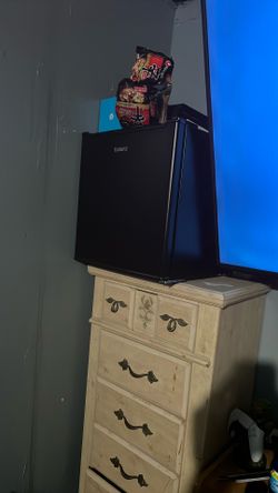 Mini Fridge