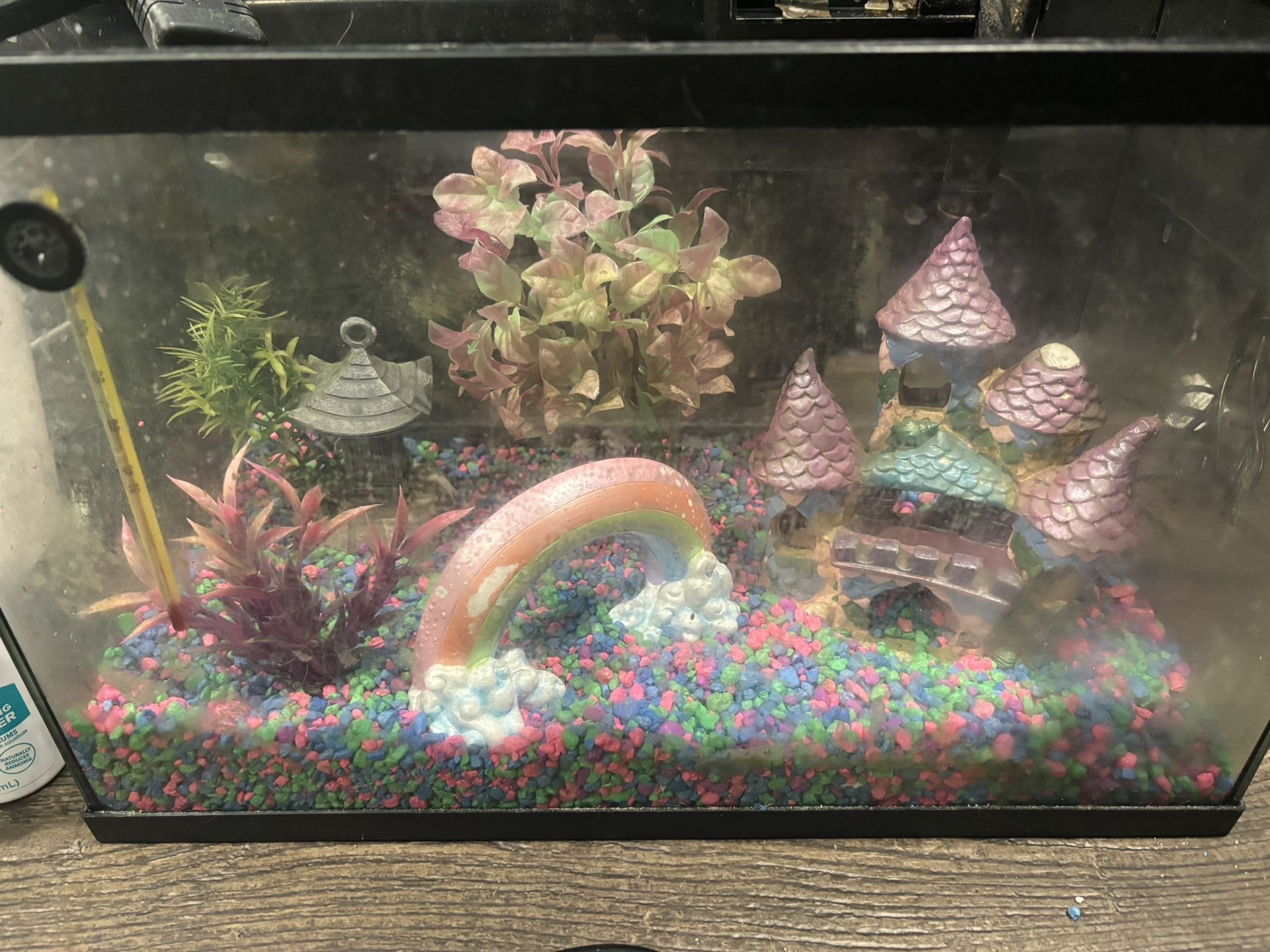 10 Gallon Fish Tank Set