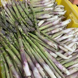 Asparagus Fresh Pick 35 The Box