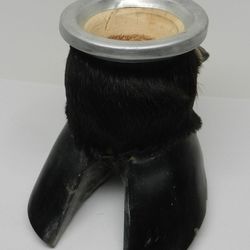 Taxidermy Real Animal Cloven Hoof Bull Cow Bison Black Fur Bowl Oddity Curiosity. 