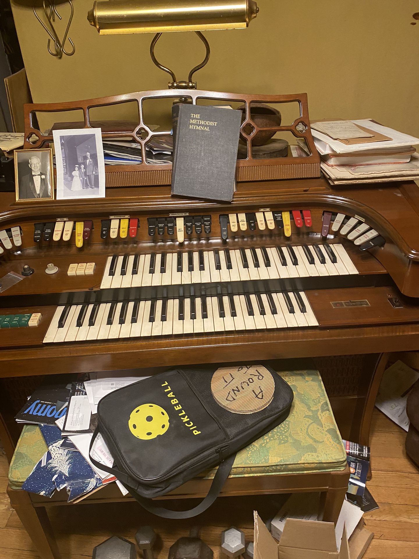 Organ
