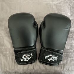 Century 12oz Boxing Gloves