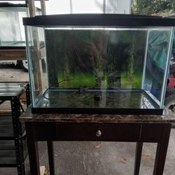 Fish Tank  20 