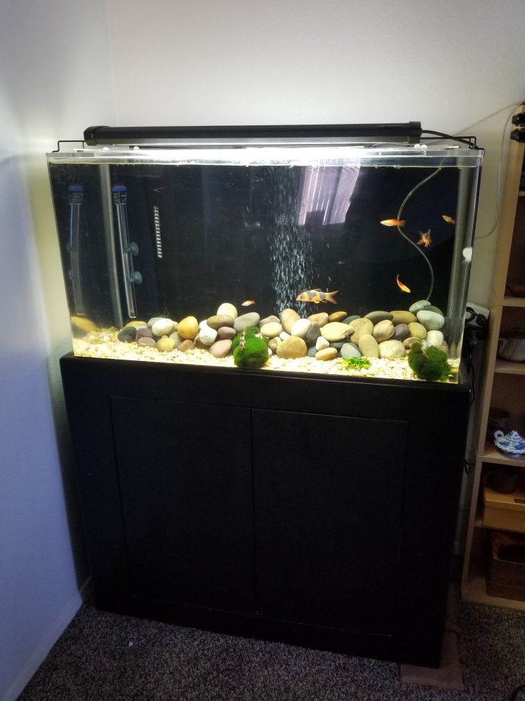 50 Gallon Acrylic 3/8" Thick Aquarium Fish Tank w/Stand, Built in Wet/Dry, Pump, LED Lighting, Heater (Complete Working System)