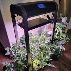 Aerogarden Farm 12XL - Hydroponic Indoor Garden (Negotiable) 