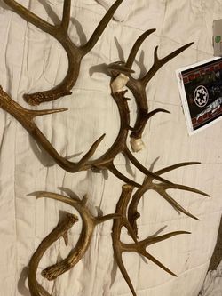 Antlers