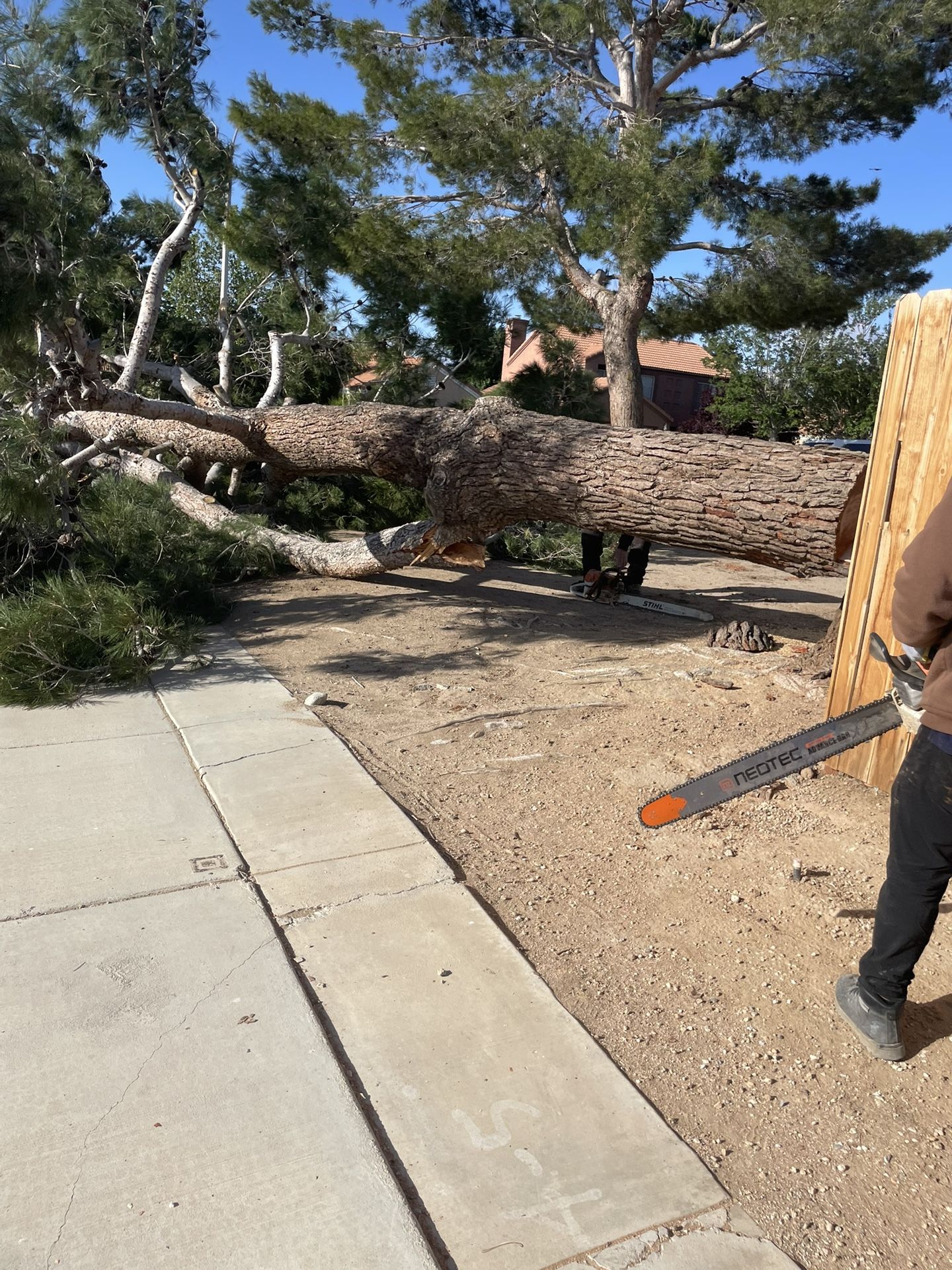 Firewood