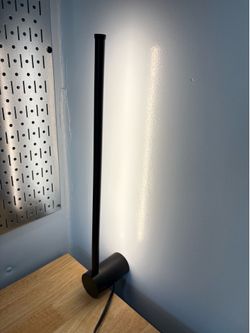 Modern LED Wall Sconce