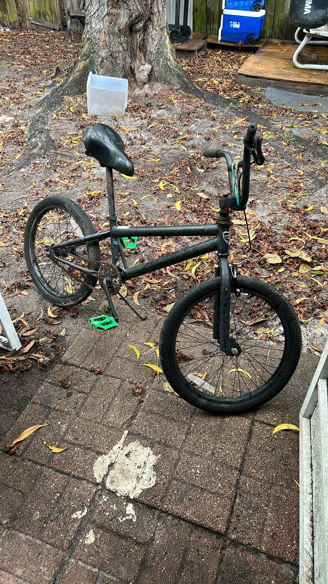 BMX 24 Inch