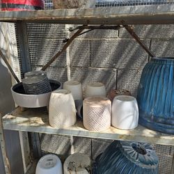 Plant Pots