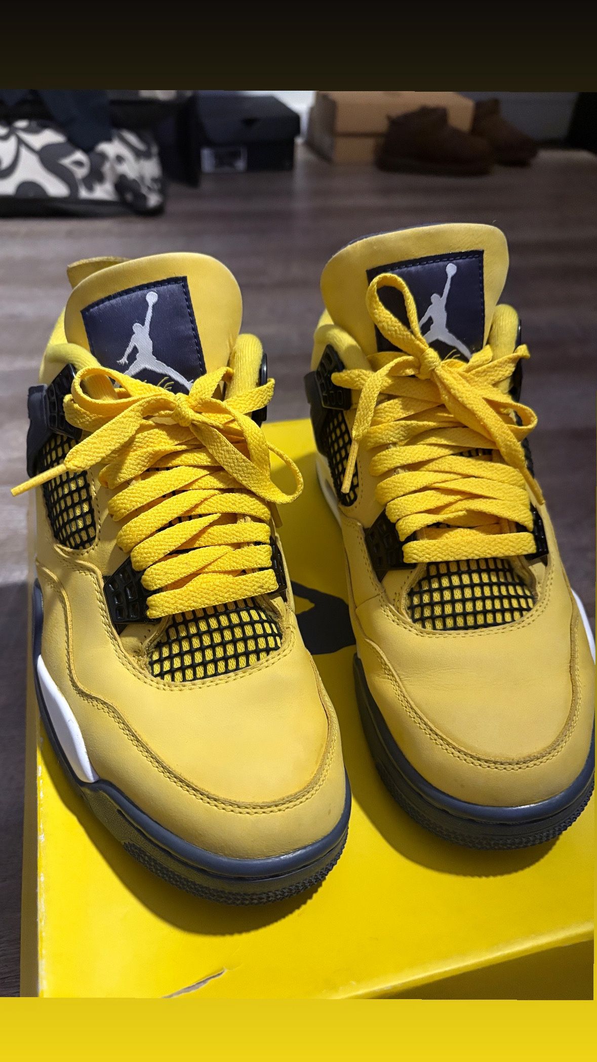 Air Jordan Lightning 4s