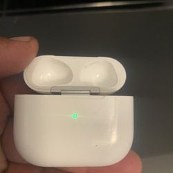 Apple Airpods  (only Case)