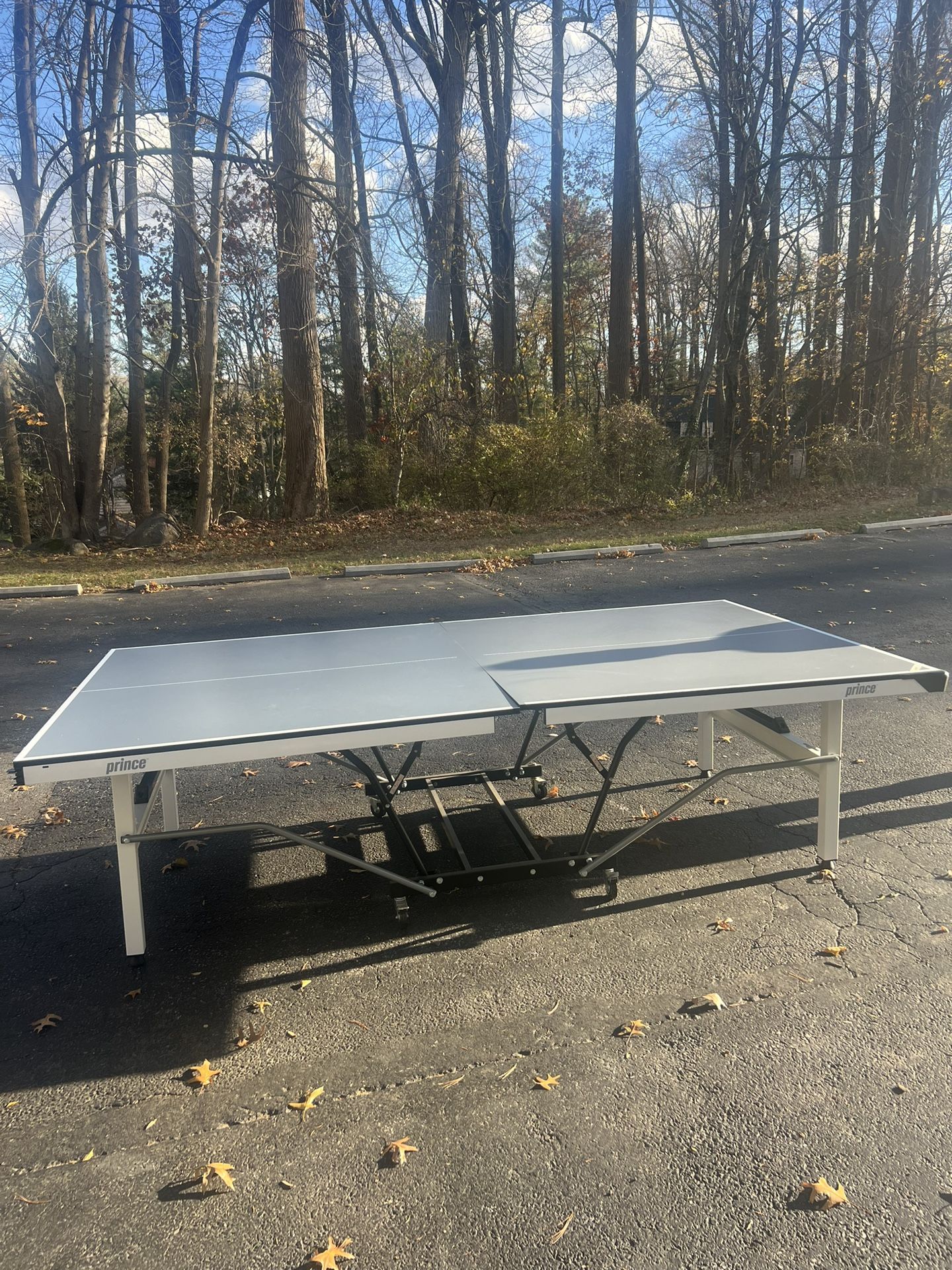 Prince Indoor Tennis Table