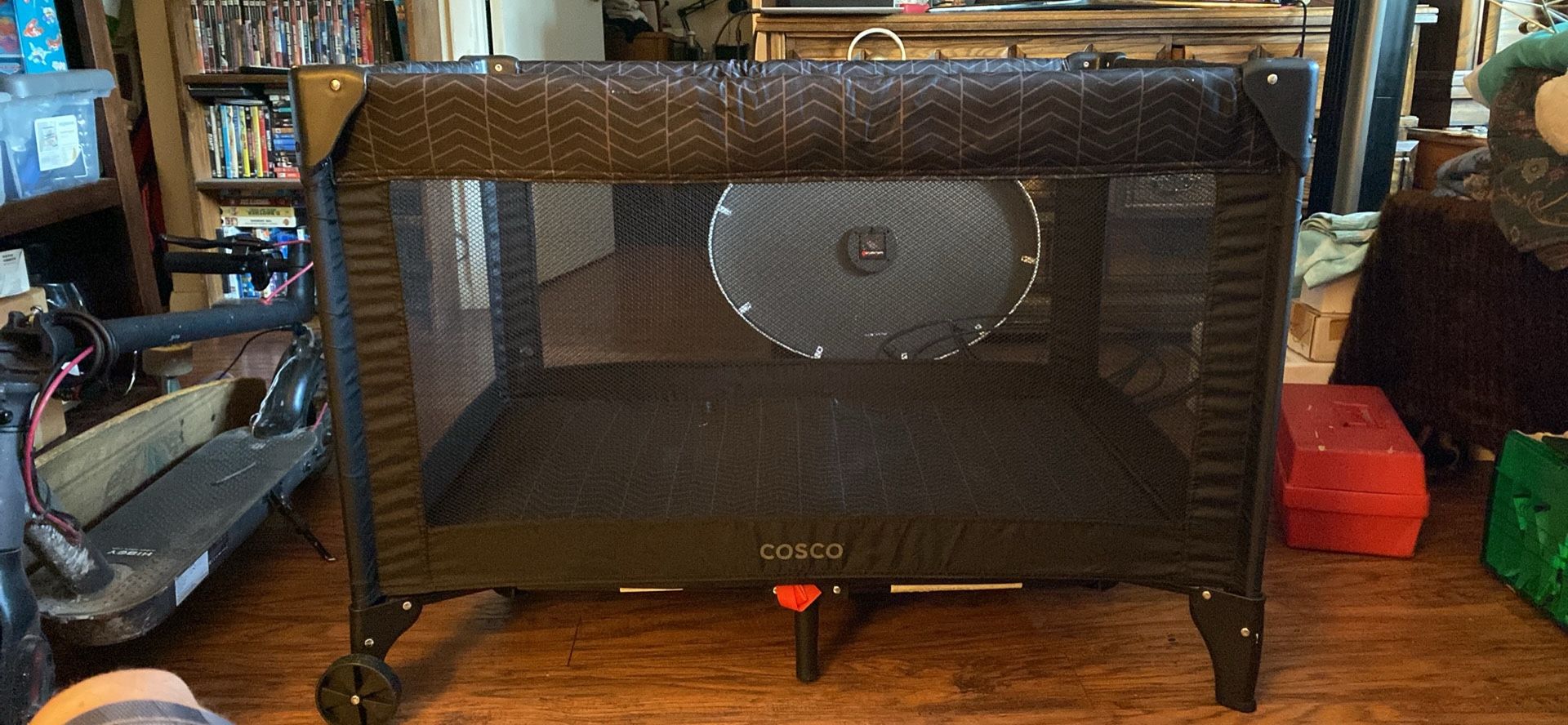 Cosco Bassinet