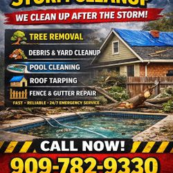 Storm Clean Up