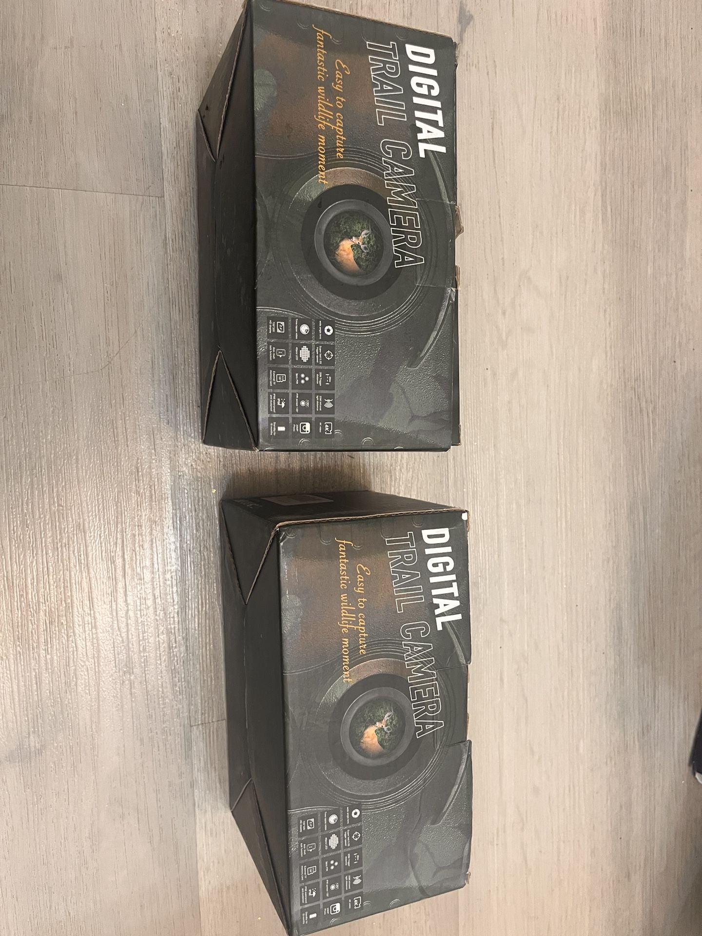 Wildlife Camera Set of 2